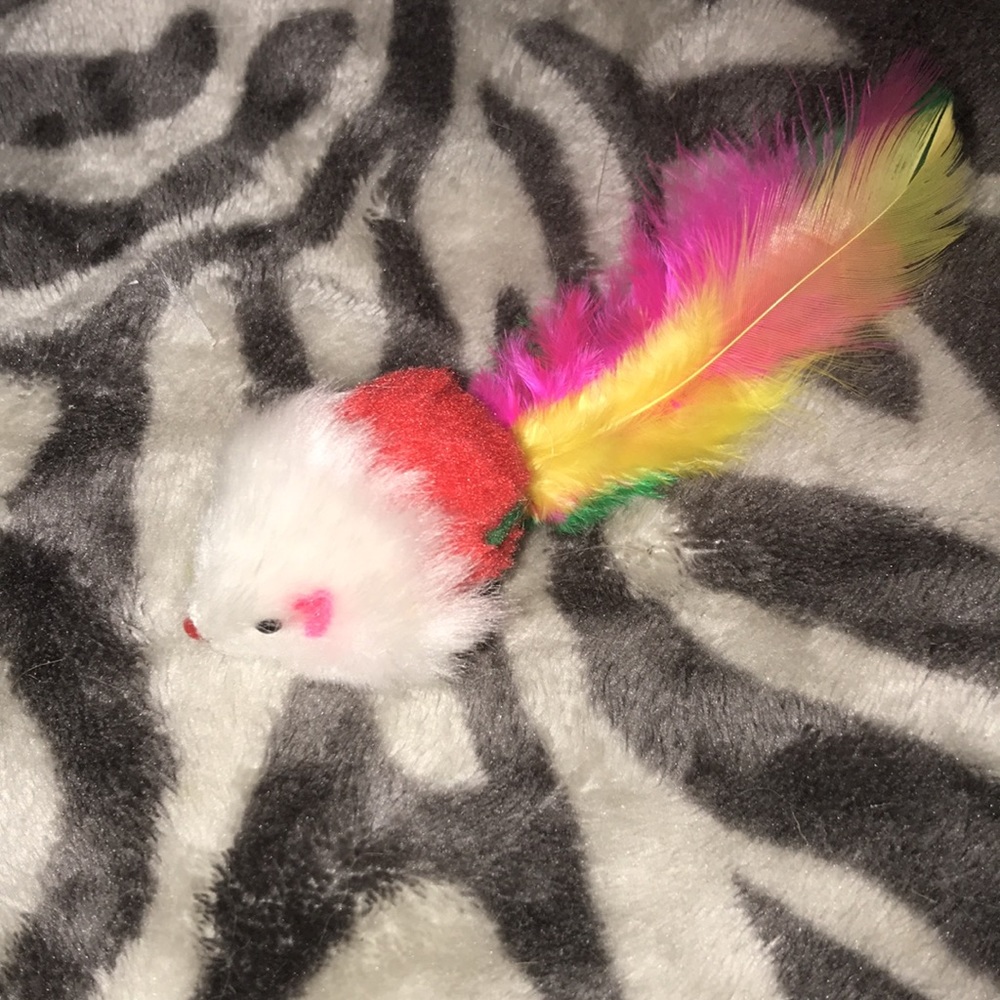 Red feather tailed rattle mouse 🐁 with catnip - Picture 3 of 5